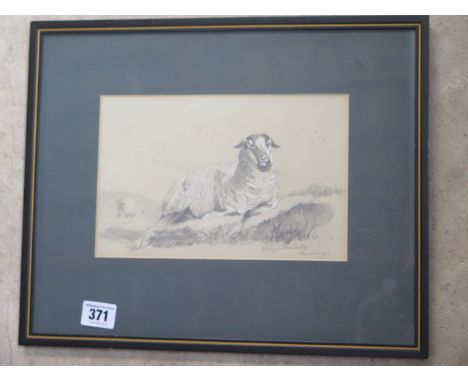 A sketch of a Ewe signed George Havell Reading in an ebonised frame, 30x37, some spotting but generally good 