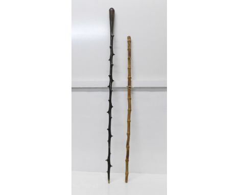 Two canes, a swagger stick and a hawthorn stick, a/f (splits) 