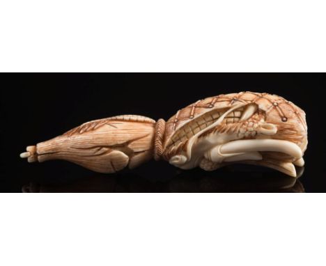 A Japanese carved ivory netsuke of a dragon emerging from a gourd: signed, Meiji period, 10cm. long.