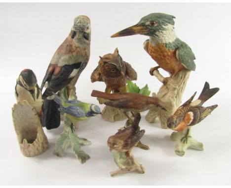 W Goebel bird sculptures, comprising Nightingale, Wren, Kingfisher, Brambling, Screech Owl, Blue Tit, Great Spotted Nightinga