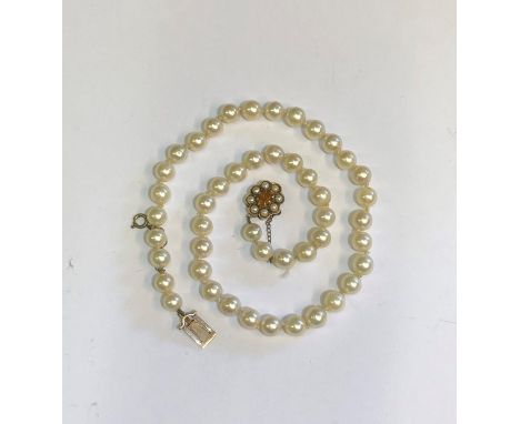 A single row of uniform cultured pearls, knotted throughout onto oval citrine and pearl set snap, 9ct yellow gold, safety cha