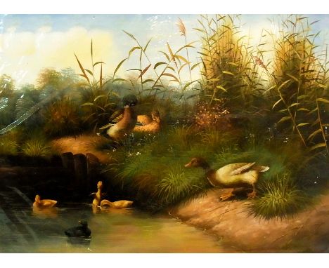 Oil on panel
Duckss at water's edge, 30cm x 40cm (unframed)