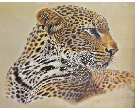 Colour print
After Kirk Brooks
Leopard signed in pencil