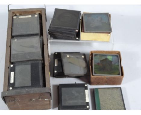 Various late 19thC and other colour magic lantern slides, to include peacock, various other animals, nature, etc, mainly 9cm 