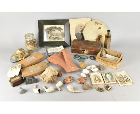 A Collection of Curios to include Snakeskin, Flint Discovered at Sweet Apple Tree near Market Drayton, Terracotta Pottery Sha