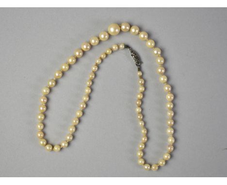 A String of Graduated Pearls with Silver and Marcasite Clasp, Largest Pearl 9.3x9.7mm, 48cms Long Overall