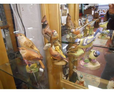 Collection of 5 Royal Worcester bird figures & 1 Goebel
