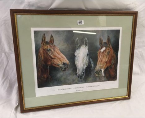 COLOUR PRINT OF ''FESTIVAL TRIO'', BEING HEAD &amp; SHOULDERS OF 3 RACE HORSES, LIMITED EDITION 53/500, SIGNED BY THE ARTIST 