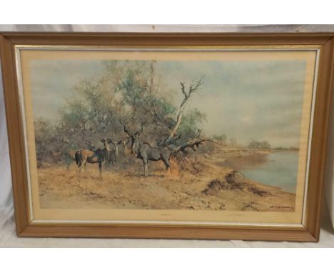 SIGNED DAVID SHEPHERD PRINT 'GREATER KUDU' 