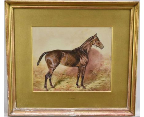 English School, early 20th century, watercolour portrait of a horse, "Annette", 21.5cm x 26cm, in glazed gilt frame