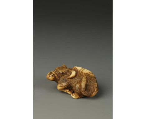 A JAPANESE STAG ANTLER OX NETSUKE, the recumbent animal turned to the left and with a rope over its back, late Edo - Meiji, 5