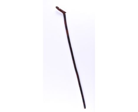   Gehstock China Qing Dynastie  Wurzelholz, beschnitzt umlaufend mit Drachenmotiven, L: 103 cm        Walking stick China Qin