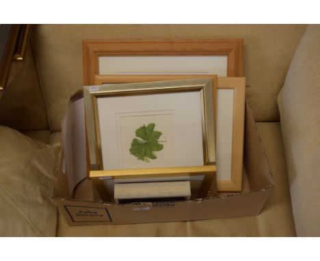 BOX CONTAINING VARIOUS BOTANICAL WATERCOLOURS BY SUSAN DALTON SBA TOGETHER WITH FURTHER ONE BY K REES-DAVIES