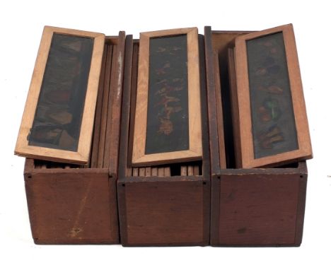 Coloured Magic Lantern Slides. 3 boxes of coloured magic lantern slides featuring amusing caricatures & animals, boats, early