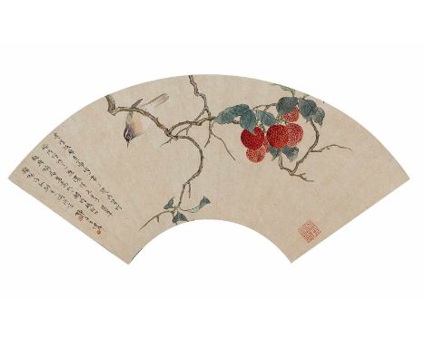   Wang Shizi (1885-1950) CHINA 18,5 x 50 cm R. Vogel mit Litschi-Früchten. Fächerblatt, unter Glas gerahmt, Tusche und Farben