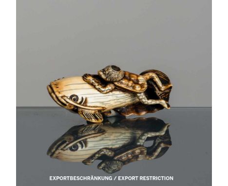   Lustiges Netsuke des Kappa auf einem Wels aus Elfenbein JAPAN, 19.Jh. H. 3,9 cm Provenienz: Aus einer bedeutenden süddeutsc