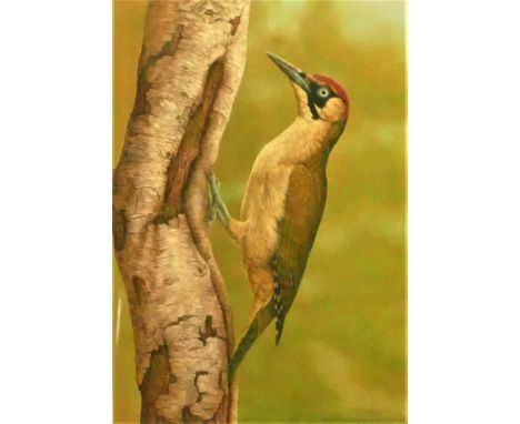 Robert Fuller (b.1972), Green Woodpecker, ltd ed print, signed and numbered in pencil 48/850, 30 x 12cm together with Falcon,