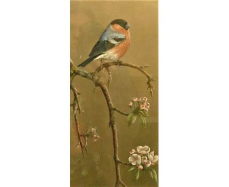 Robert Fuller (b.1972), Yellow Hammer, ltd ed print, signed and numbered in pencil 122/850, 30 x 15cm together with Bullfinch