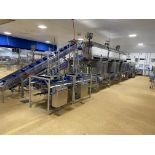 Ishida High speed 12 Head fresh fruit weighing system including access platform, product tray