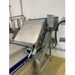 Unbranded conveyored fruit washer tank , 5.5m long