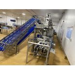 Ishida High speed 12 Head fresh fruit weighing system including access platform, product tray