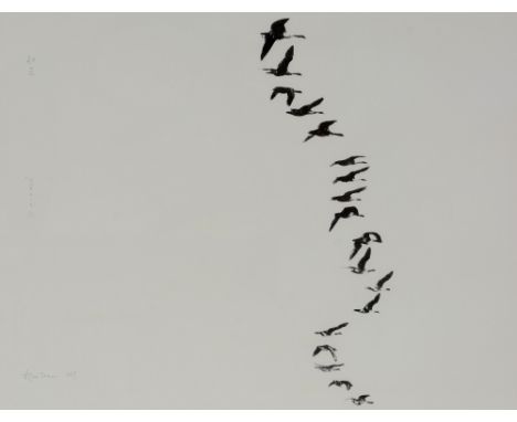Alan Stones "Skein II", signed, inscribed and dated 1997, lithograph, Artist's proof numbered iv/xx, 55 x 71cms, in frame.