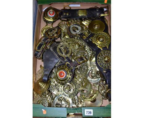 A BOX OF VICTORIAN AND ASSORTED 20TH CENTURY HORSE BRASSES, including a martingale, some brasses with ceramic centres, many r