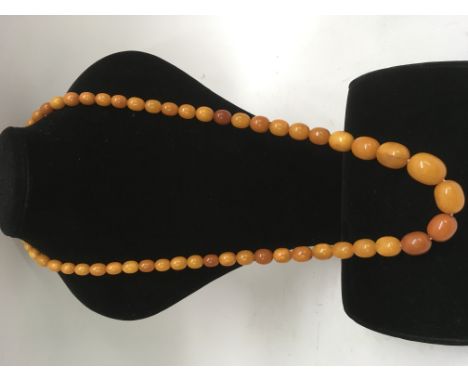 A vintage graduated butterscotch amber bead necklace.Approx 43cm long, 89g, largest bead 2cm long, some beads slightly a/f
