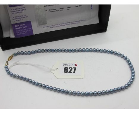 A Modern Gems TV Single Strand Japanese Akoya Cultured Pearl Bead Necklace, to pierced clasp stamped "10K", complete with Cer