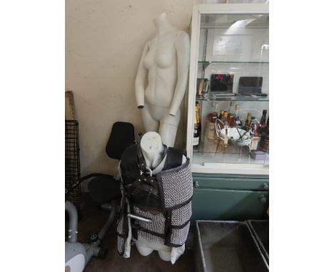 A life size female mannequin and a top half mannequin with some chain effect clothing etc 