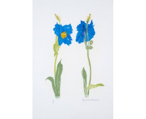 δ Elizabeth Blackadder (1931-2021)MeconopsisScreenprint in colours, 2011, signed in pencil, numbered from the edition of 80, 