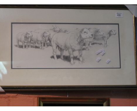 Jennifer Brereton, Texel Sheep limited edition print, 48/700.