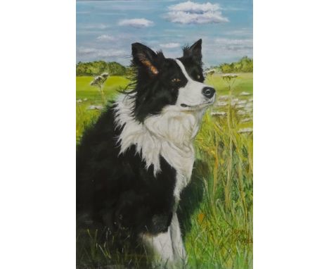 Portrait of a Sheepdog, pastel signed by Jenny Morgan (British 20th century) 47cm x 31cm Condition Report Click here for furt