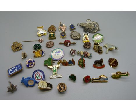 A collection of enamel badges 