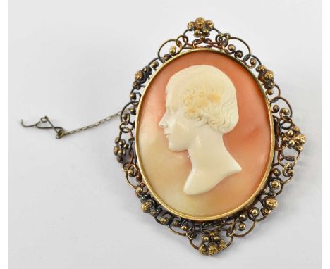 TOMMASO SAULINI (1793-1864); a good 19th century portrait shell cameo in elaborate yellow metal mount, signed lower right, 6 