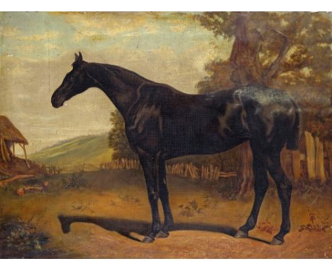 Charles Bilger Spalding (1810-1871) A hunter in a paddock Oil on canvas, unframed 45.5 x 61cm; 18 x 24in General condition re