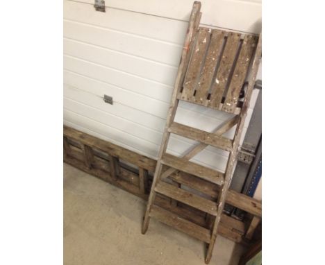 comprising extending ladder and stepladder 