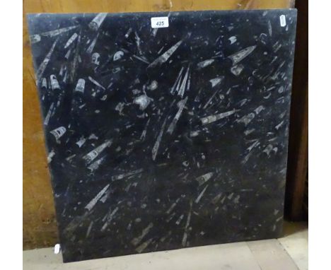 Specimen fossil panel