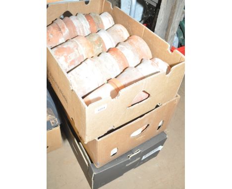 3 trays of Vintage terracotta plant pots.