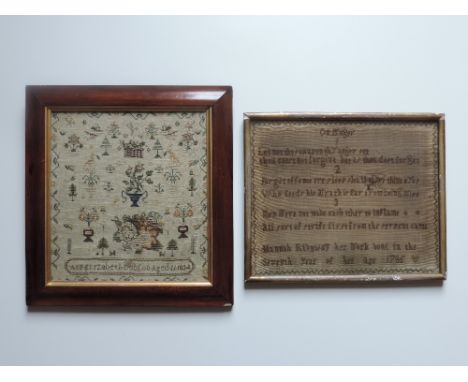 A rare 18th Century Needlework Sampler, by Hannah Ridgway, 1785, in gilt frame, and another Sampler Picture by Ann Elizabeth 