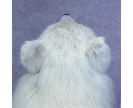 Roni Horn (B. 1955)Untitled: Arctic Fox (diptych), 2000 signed Roni Horn (affixed to a label on the reverse of the left illus