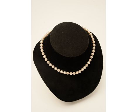 16'' pearl necklace with gold clasp 
