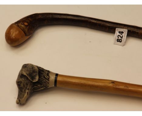 A cane walking stick with moulded dogs head handle and a hedgerow walking stick   