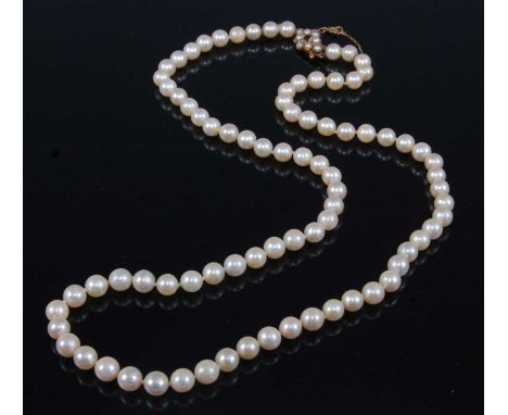 A single row necklet of eighty-two 6.7 to 7mm cultured pearls, strung knotted to 9ct yellow gold, pearl and garnet oblong clu