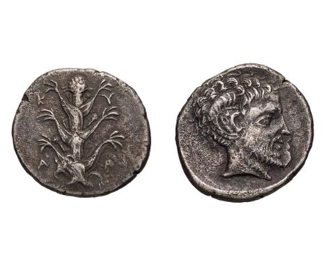 c. 435-331 BC. Tetradrachm, 12.93gg (6h). Obv: Silphium plant with six leaves, K - V / P - A across field at corners of plant