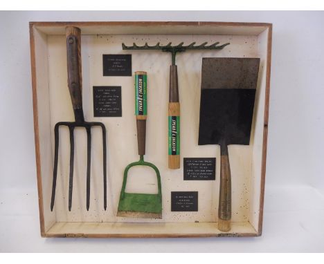 A Spear &amp; Jackson salesman's sample diorama showing four garden tools in a shallow wooden display case, 22 3/4 x 21 1/4".