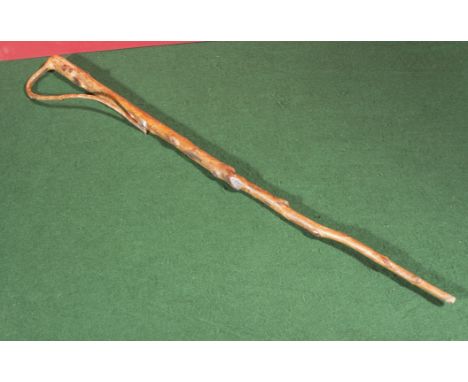 A walking stick