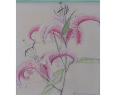 Catriona M Mann, RSW, pencil, pastel and watercolour of star gazer lilies, signed in pencil and dated 1997, framed under glas