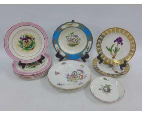 Collection of hand painted porcelain plates to include Meissen, Spode and others, (with damages throughout) (13)