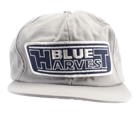 STAR WARS: RETURN OF THE JEDI (1983) - Blue Harvest HatA Blue Harvest hat from Richard Marquand's Star Wars: Return of the Je